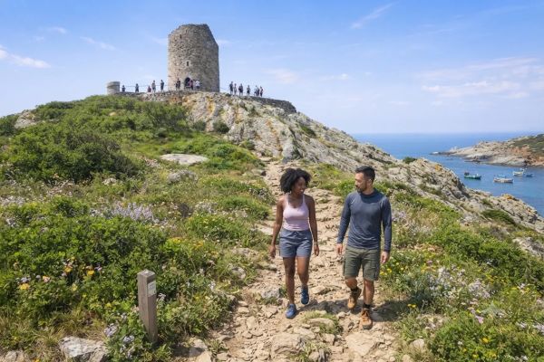 La massane argelès sur mer : explorez ses sentiers et ses trésors naturels